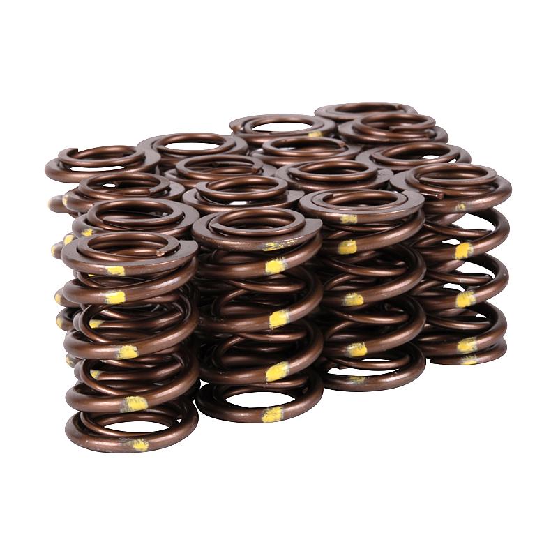 Skunk2 Racing Skunk2 Pro Series Honda/Acura B-Series VTEC XP Valve Spring Set (Dual Springs)