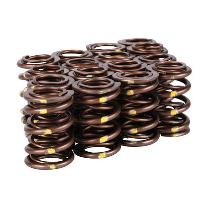 Skunk2 Racing Skunk2 Pro Series Honda/Acura B-Series VTEC XP Valve Spring Set (Dual Springs)