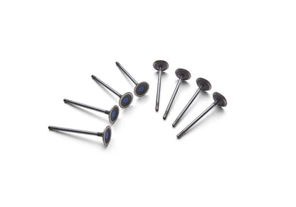 Ford Racing Coyote 5.2L Lightweight Exhaust Valve - Set of 8