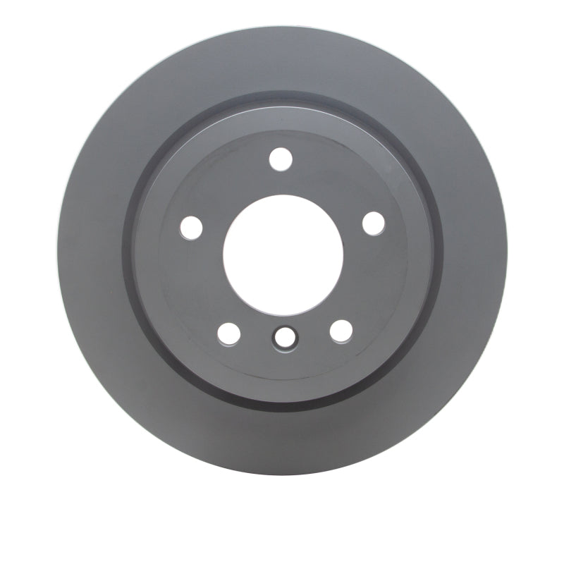DFC 09-16 BMW Z4 Rear GeoSPEC Coated Rotor