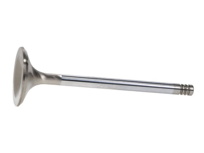 Manley Performance Manley Chrysler Hemi 6.1L 1.625in Race Master B/L Exhaust Valves (Set of 8)
