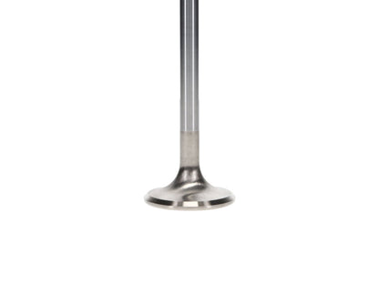 Manley Performance Manley Extreme Duty Stainless Steel Exhaust Valves  1.600, +.100 - Set of 8