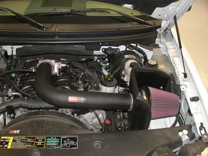 K&N Engineering K&N 04 Ford F150 V8-5.4L Performance Intake Kit