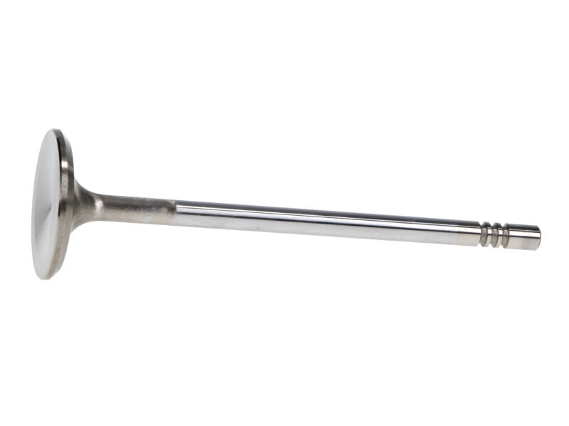 Manley Performance Manley Ford 4.6L 34mm Diameter 117.35mm Length Race Master Exhaust Valves (Set of 8)
