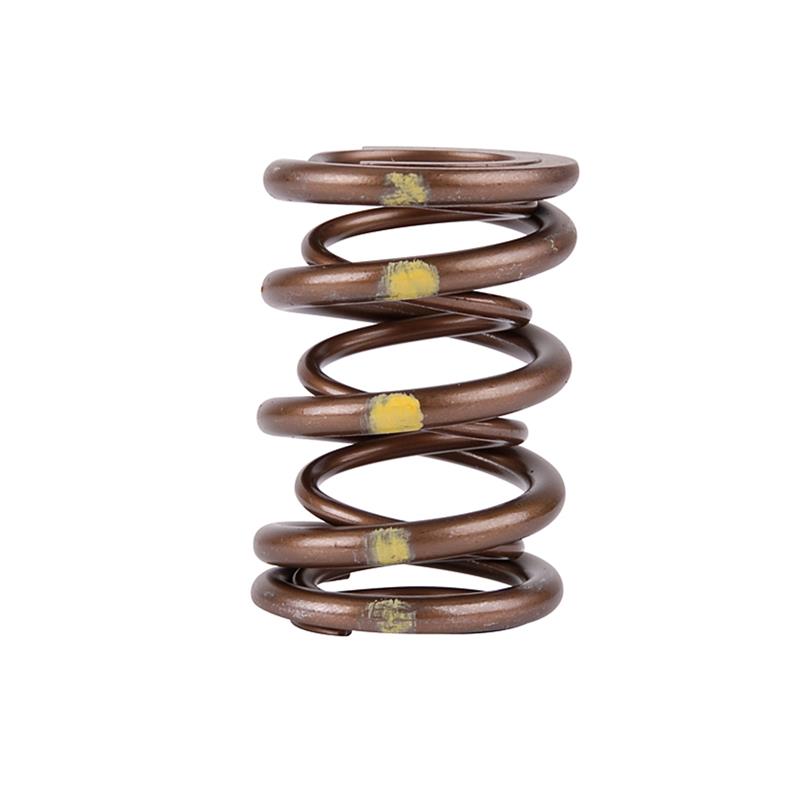 Skunk2 Racing Skunk2 Pro Series Honda/Acura B-Series VTEC XP Valve Spring Set (Dual Springs)