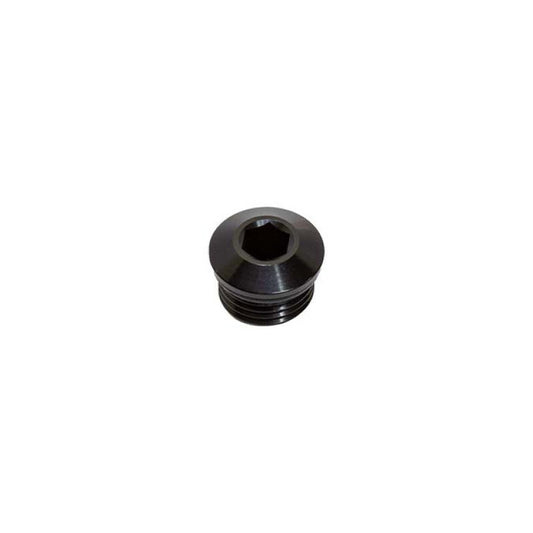 Snow Performance Snow -6 ORB Plug