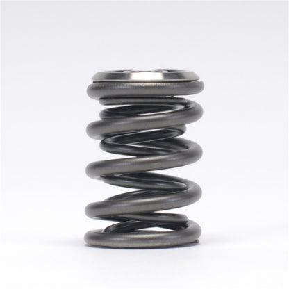 Skunk2 Racing Skunk2 Alpha Series Honda/Acura K Series Valve Spring and Titanium Retainer Kit
