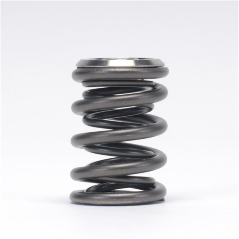 Skunk2 Racing Skunk2 Alpha Series Honda/Acura B Series Valve Spring and Titanium Retainer Kit