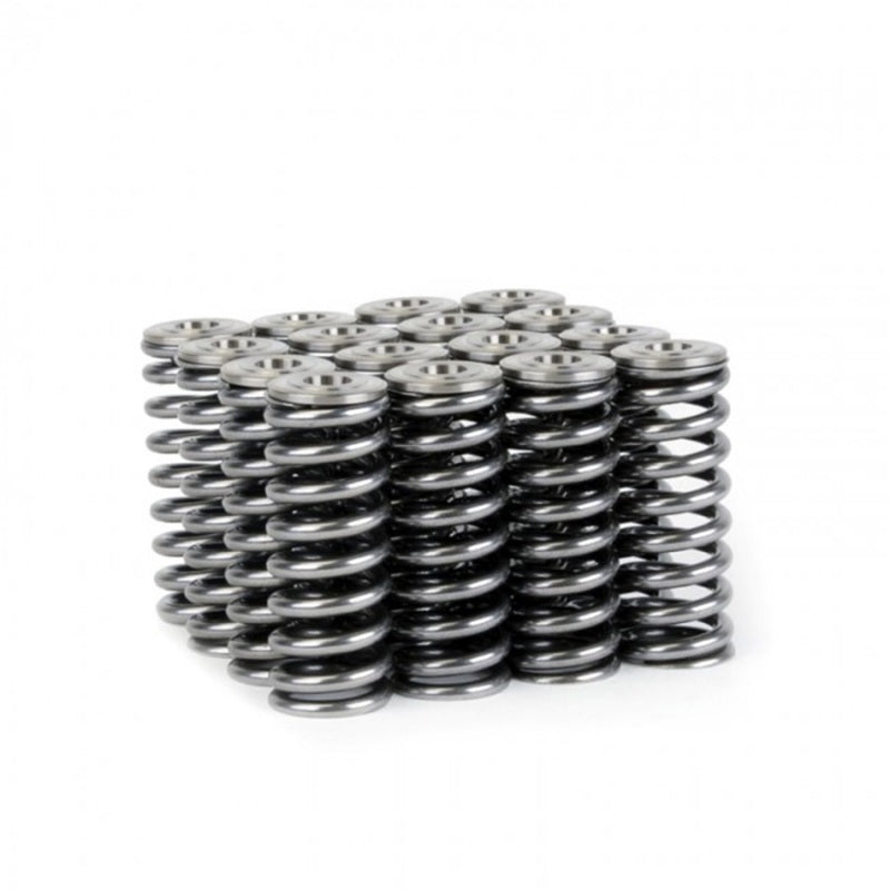 Skunk2 Racing Skunk2 Alpha Series Honda/Acura D Series Valve Spring and Titanium Retainer Kit