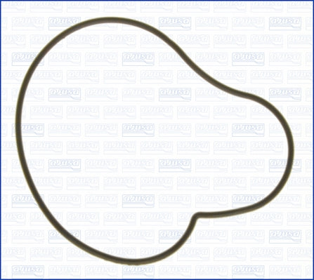 AJUSA AJU01134900 Water Pump Gasket