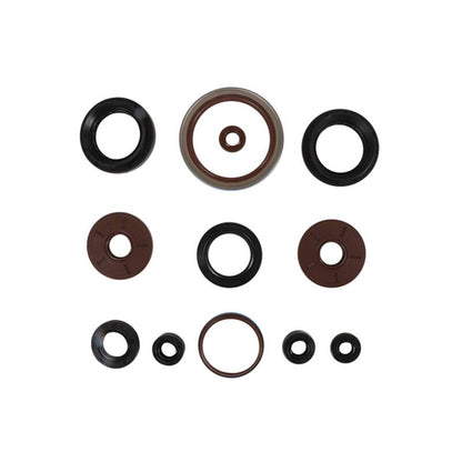 Vertex Pistons Vertex Gaskets 2011 Arctic Cat 1000 H2 LTD Oil Seal Kit
