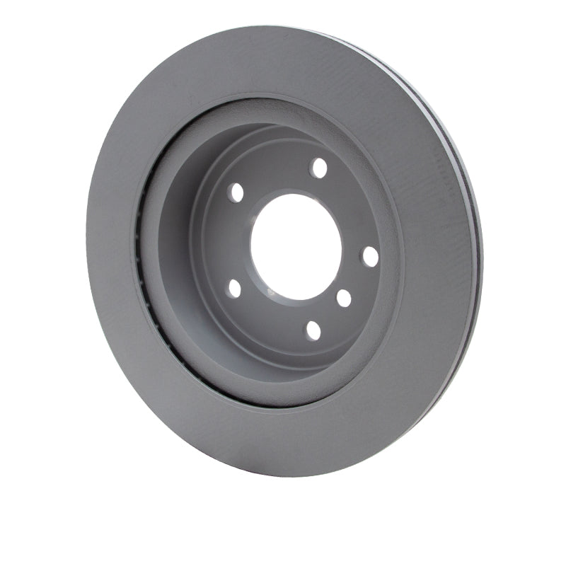 DFC 09-16 BMW Z4 Rear GeoSPEC Coated Rotor