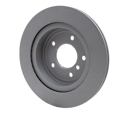 DFC 09-16 BMW Z4 Rear GeoSPEC Coated Rotor