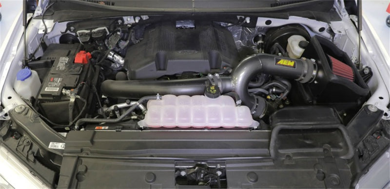 AEM Induction AEM 17-18 Ford F-150 3.5L V6 F/I Gunmetal Gray Cold Air Intake