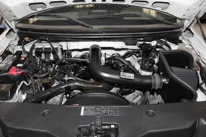 K&N Engineering K&N 04-08 Ford F150 V8-5.4L/04-07 Ford Lobo 5.4L V8 Blackhawk Perf Intake Kit