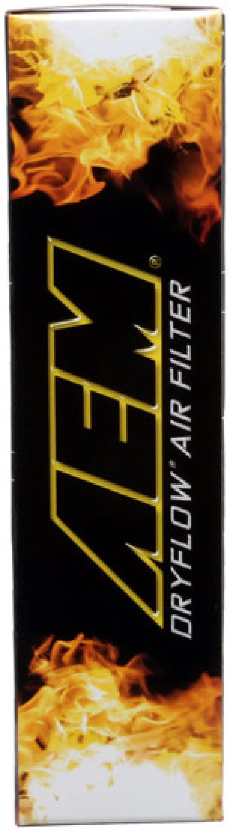 AEM Induction AEM 13-20 Nissan Sentra 1.8L DryFlow Air Filter