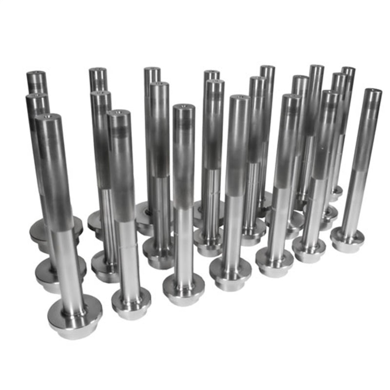 Yukon Gear & Axle Yukon Gear Bearing Race Driver Set / 21 Piece