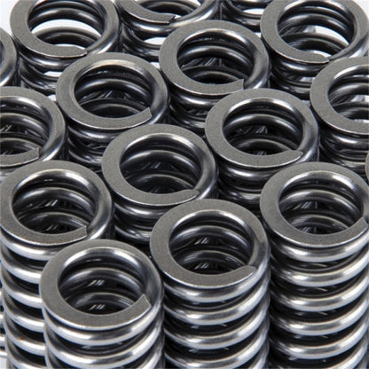 Skunk2 Racing Skunk2 Alpha Series Honda D Series VTEC Valve Spring Set