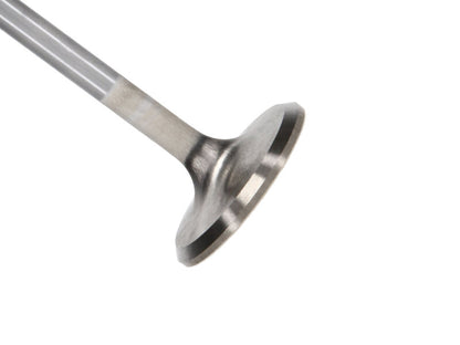 Manley Performance Manley Ford 4.6L 34mm Diameter 117.35mm Length Race Master Exhaust Valves (Set of 8)