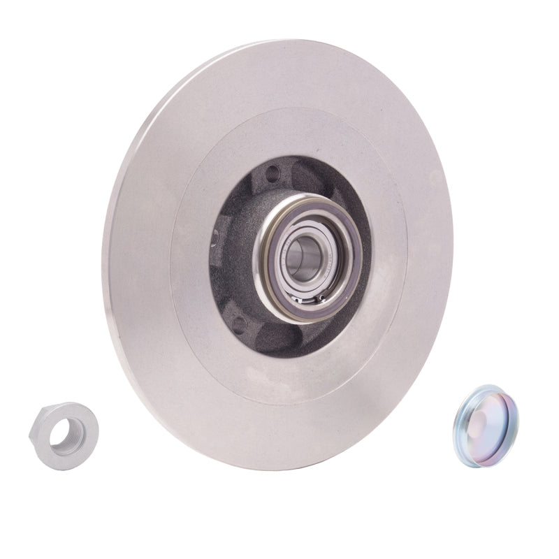 DFC 10-14 Renault Safrane (Mexico) Rear Brake Rotor