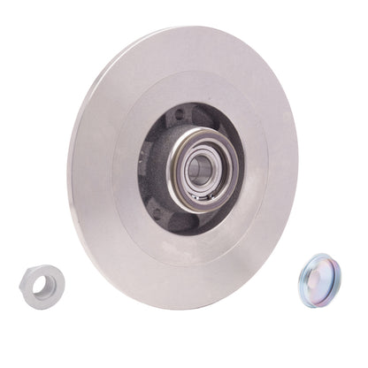 DFC 10-14 Renault Safrane (Mexico) Rear Brake Rotor