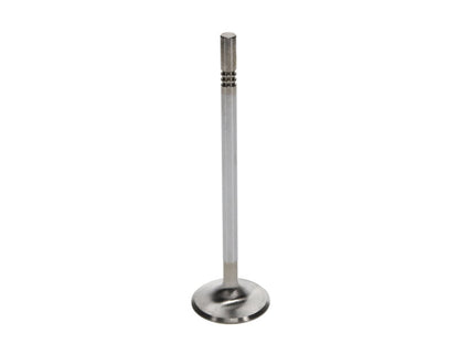 Manley Performance Manley Ford 4.6L DOHC (4 Valve) Triple Groove 37mm Race Master Intake Valves