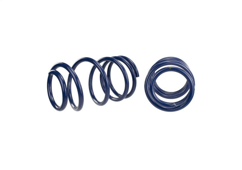 Ford Racing 2007-2014 Mustang Shelby GT500 Springs