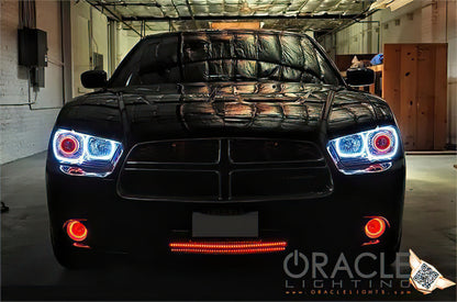 ORACLE Lighting Oracle 11-12 Dodge Charger LED Fog Light Halo Kit - Blue