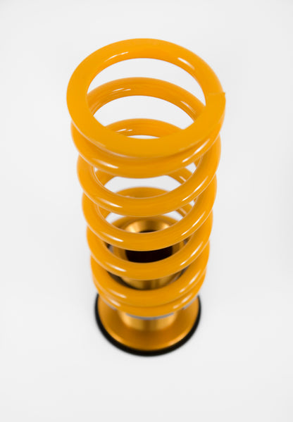 Ohlins 16-20 Audi A3/S3/RS3/TT/TTS (8V) Road & Track Coilover System