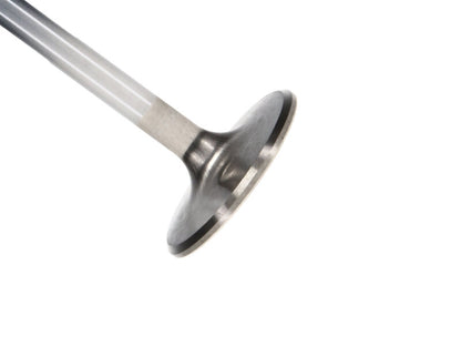 Manley Performance Manley Chevrolet Big Block Exhaust Valve Kit - 1.900in Head Dia. 5.422in O/A Length, 0.3110in Stem