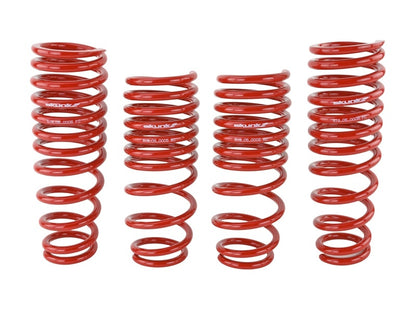 Skunk2 Racing Skunk2 96-00 Honda Civic Lowering Springs (2.50in - 2.25in.) (Set of 4)