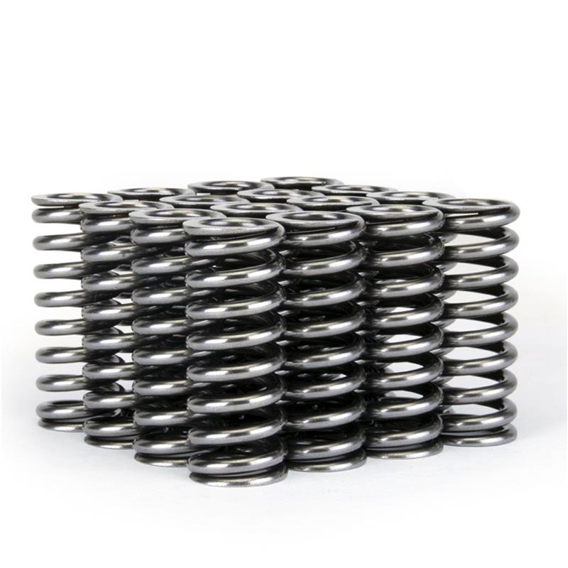 Skunk2 Racing Skunk2 Alpha Series Honda D Series VTEC Valve Spring Set