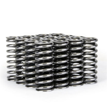 Skunk2 Racing Skunk2 Alpha Series Honda D Series VTEC Valve Spring Set