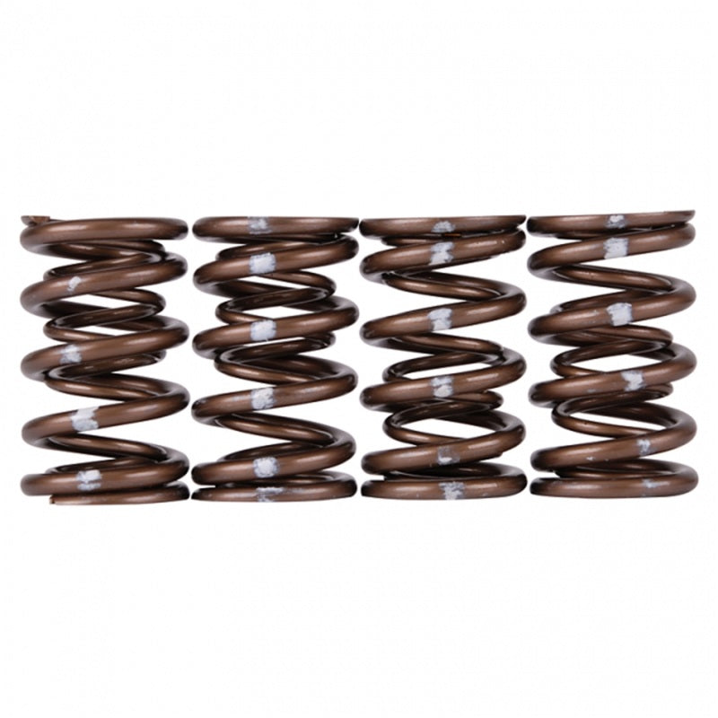 Skunk2 Racing Skunk2 Pro Series Honda/Acura B-Series VTEC XP Valve Spring Set (Dual Springs)