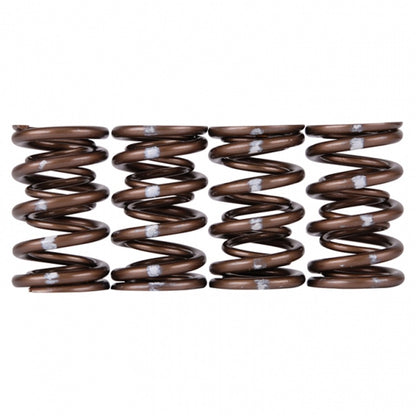 Skunk2 Racing Skunk2 Pro Series Honda/Acura B-Series VTEC XP Valve Spring Set (Dual Springs)