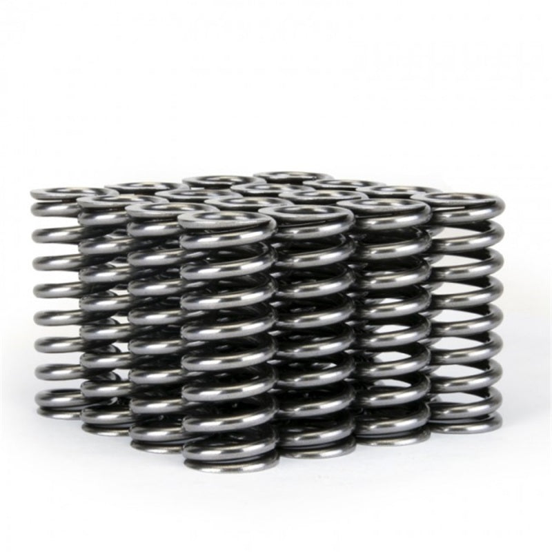 Skunk2 Racing Skunk2 Alpha Series Honda D Series VTEC Valve Spring Set
