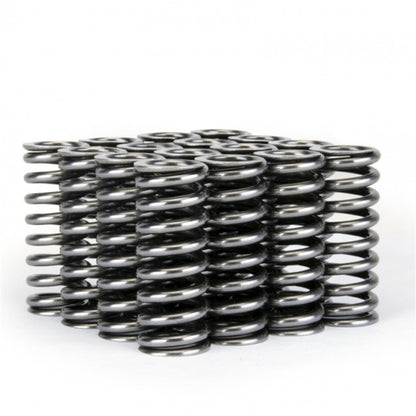 Skunk2 Racing Skunk2 Alpha Series Honda D Series VTEC Valve Spring Set