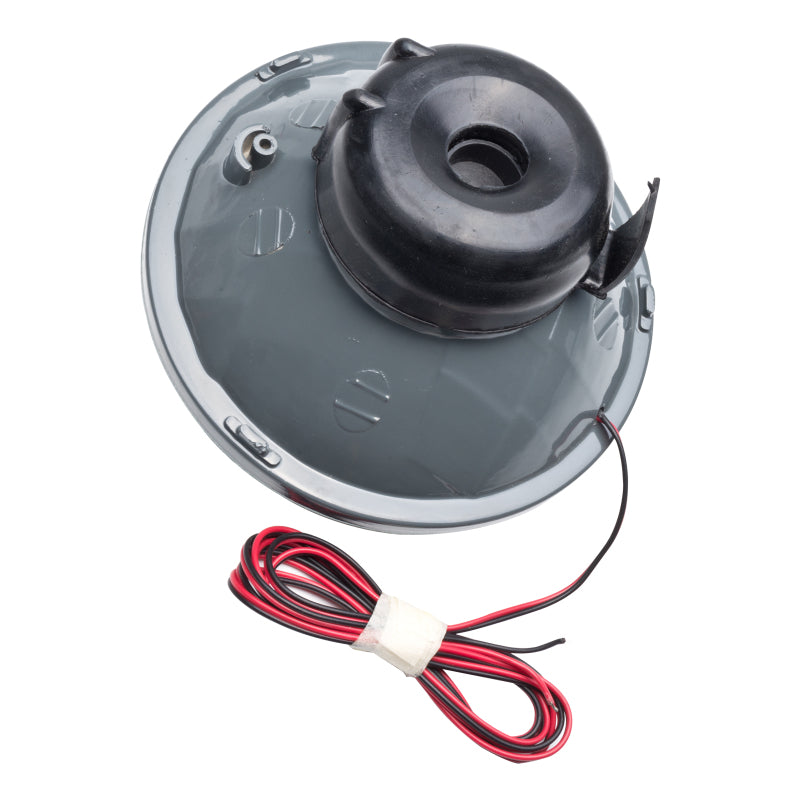 ORACLE Lighting Oracle Pre-Installed Lights 5.75 IN. Sealed Beam - UV/Purple Halo