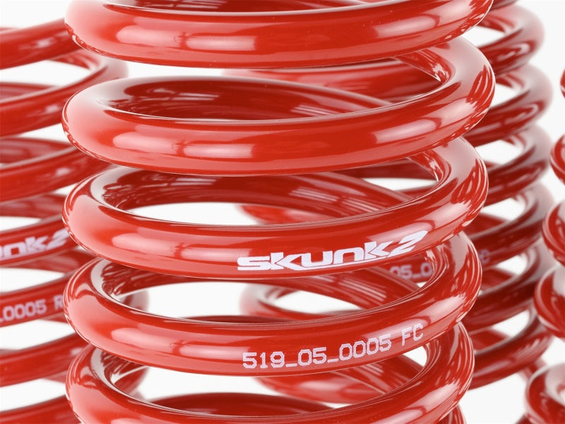 Skunk2 Racing Skunk2 96-00 Honda Civic Lowering Springs (2.50in - 2.25in.) (Set of 4)