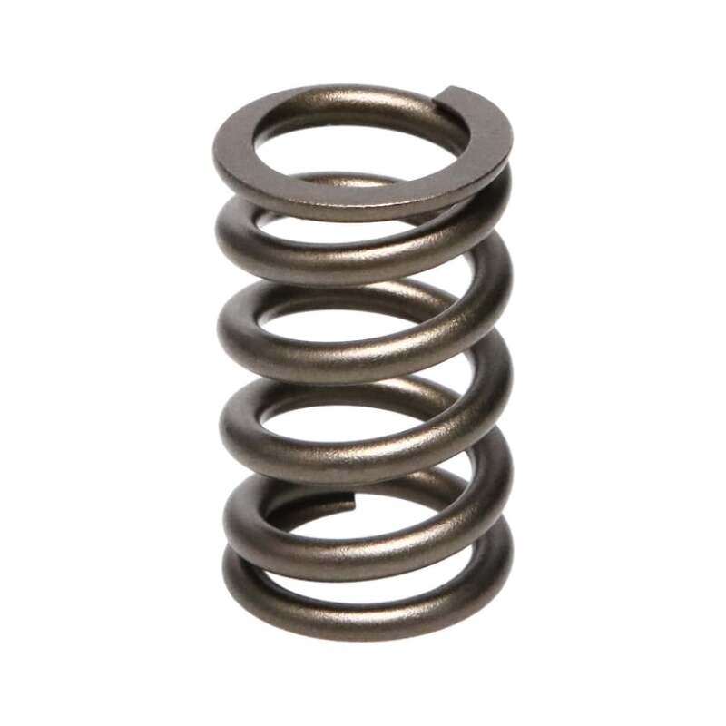 Manley Performance Manley Valve Spring, SPRING-NISSAN PATROL TB48