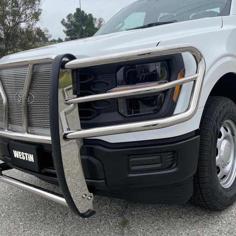 Westin 21-22 Ford F-150 (Excl. Raptor/Platinum) HDX Grille Guard - SS