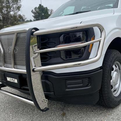 Westin 21-22 Ford F-150 (Excl. Raptor/Platinum) HDX Grille Guard - SS