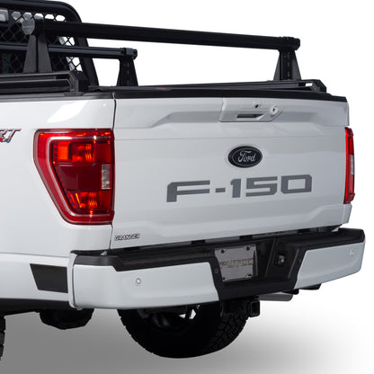 Putco 2021 Ford F-150 Ford Lettering (Cut Letters/Stainless Steel) Tailgate Emblems
