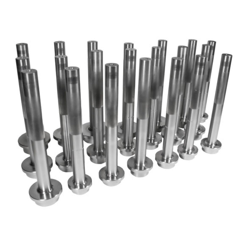 Yukon Gear & Axle Yukon Gear Bearing Race Driver Set / 21 Piece