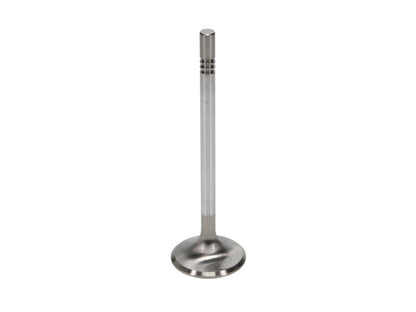 Manley Performance Manley Ford Racing Cylinder Head 4.6L & 5.4L SOHC 36.0mm Race Master Exhaust Valves *Set of 8*