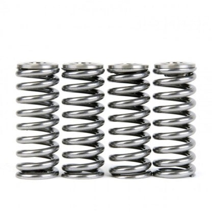Skunk2 Racing Skunk2 Alpha Series Honda/Acura D Series Valve Spring and Titanium Retainer Kit