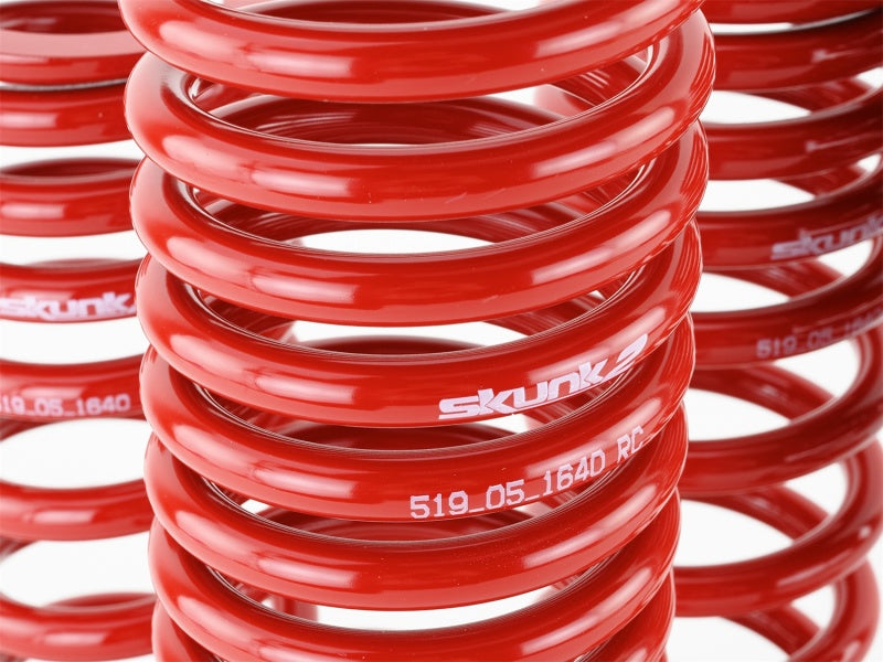 Skunk2 Racing Skunk2 90-93 Acura Integra Lowering Springs (2.50in - 2.25in.) (Set of 4)