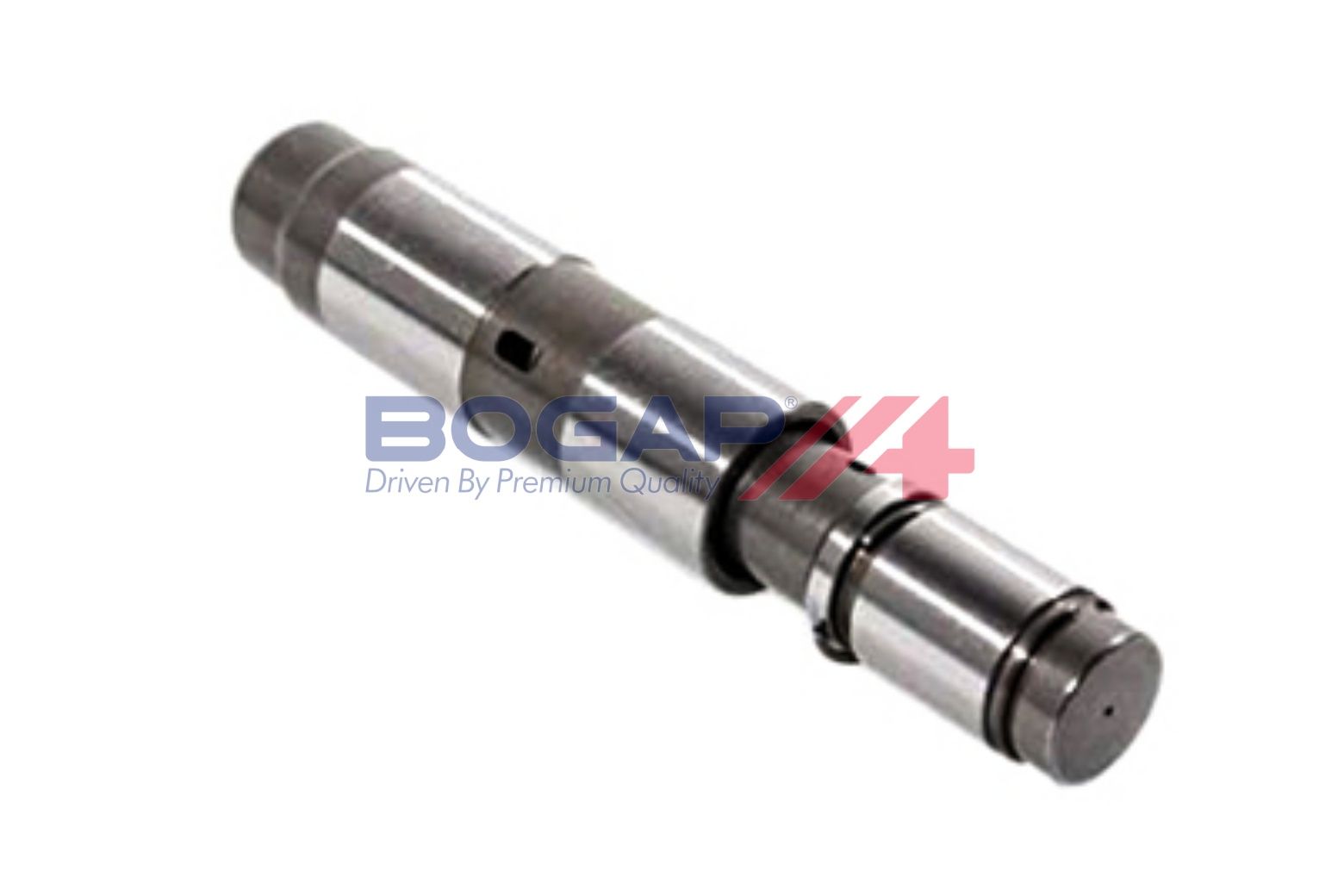 BOGAP B1312110 Tensioner, Timing Chain