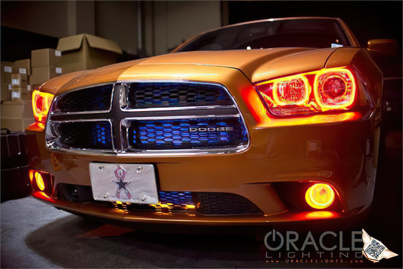 ORACLE Lighting Oracle 11-12 Dodge Charger LED Fog Light Halo Kit - Blue