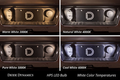 Diode Dynamics 194 LED Bulb HP5 LED Pure - White (Pair)